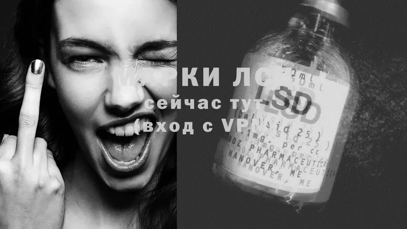 ЛСД экстази ecstasy  закладки  Канаш 